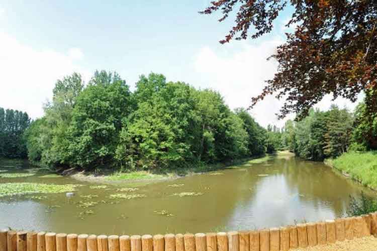 Brilschanspark vijver