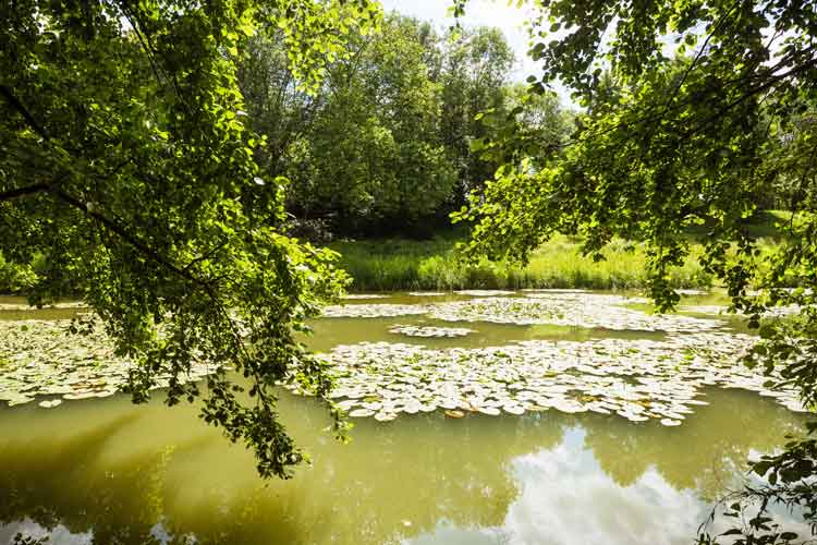 Brilschanspark Berchem