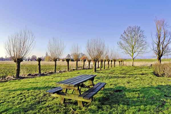 Hobokense polder