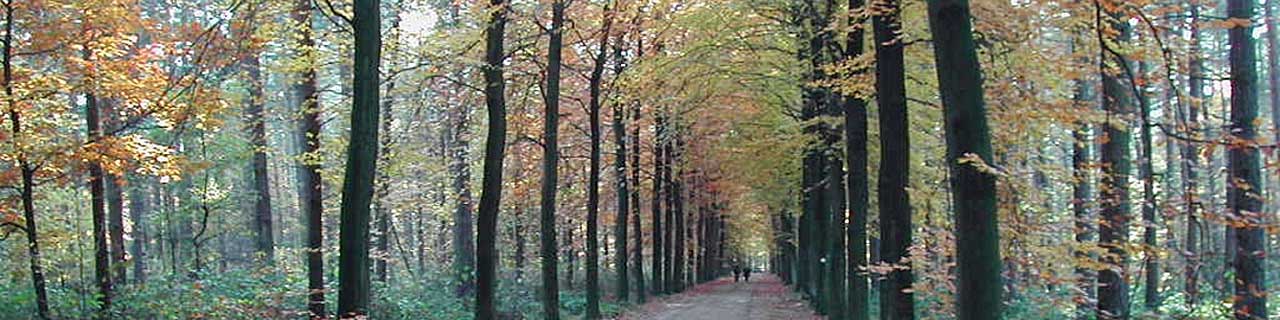 Schildehof