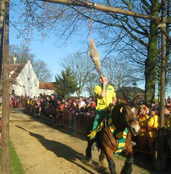 Hoevenen koning