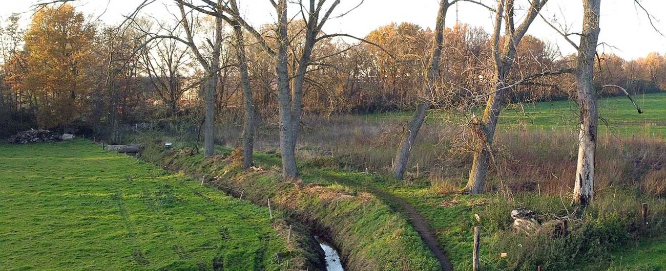 Oude spoorwegberm Kontich